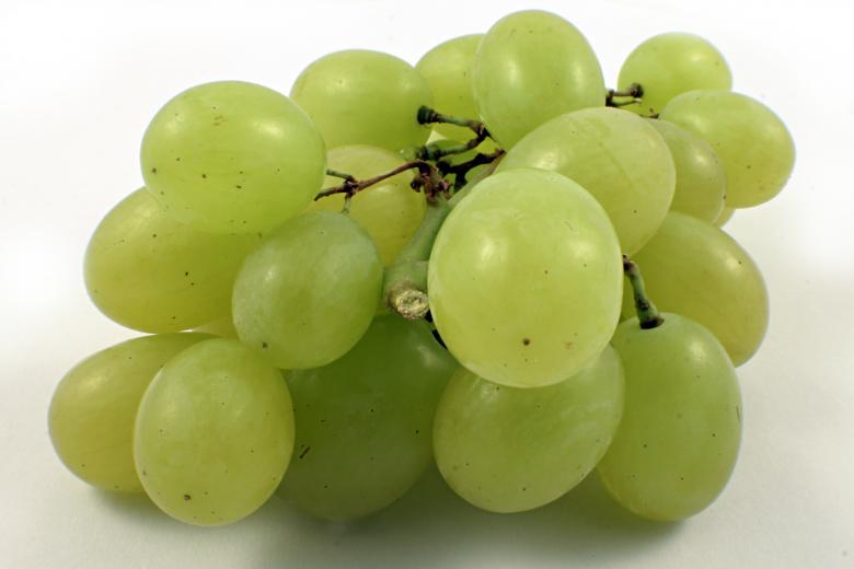 Free stock image of Green grapes created by Bjorgvin