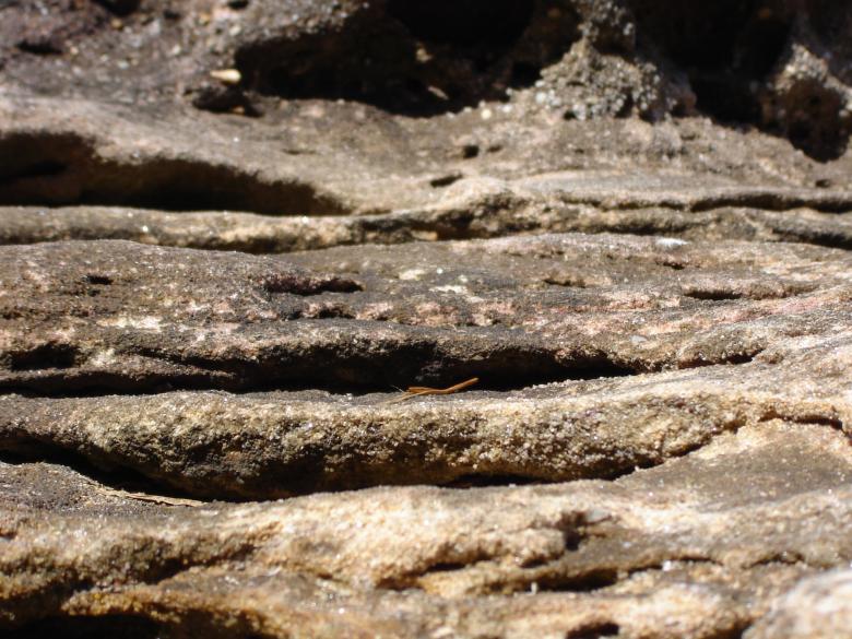 Free stock image of Rock texture created by Osama Hasan Khan