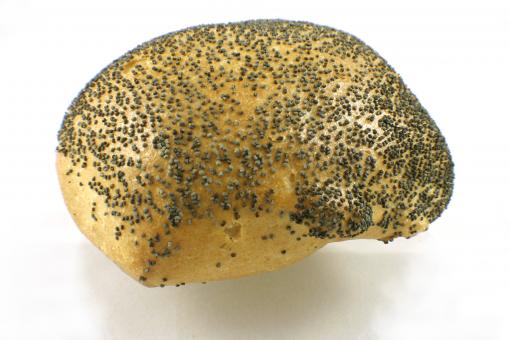 Free Stock Photo of Bread Roll