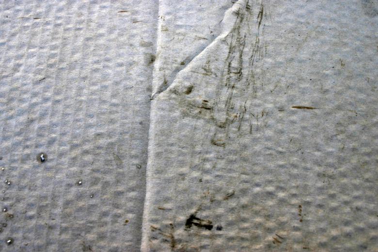 Free stock image of Cardboard surface created by Bjorgvin