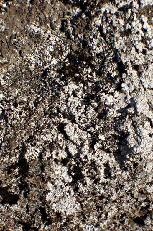 Free stock image of Dirt texture created by Bjorgvin