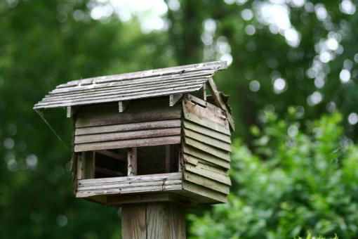 Bird house - Free Stock Photo