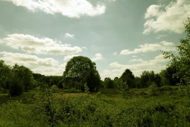Free stock image of Green landscape created by Bjorgvin