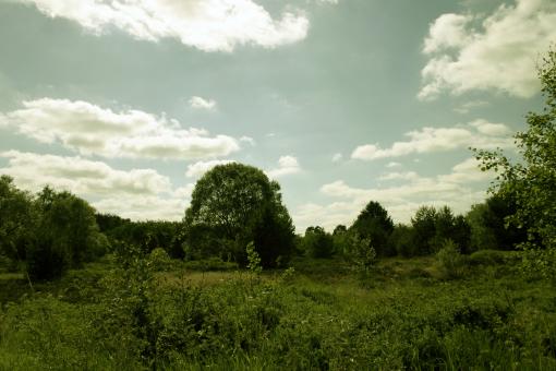 Free Stock Photo of Green landscape