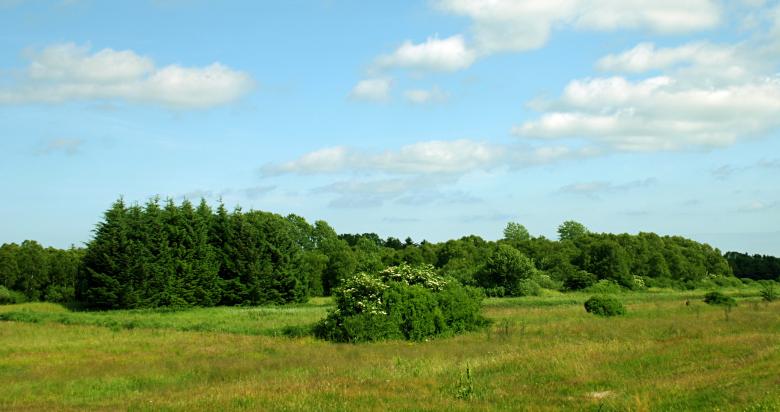 Free stock image of Summer landscape created by Bjorgvin