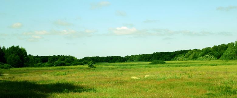 Free stock image of Green field created by Bjorgvin