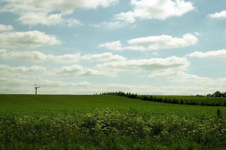 Free stock image of Green field created by Bjorgvin