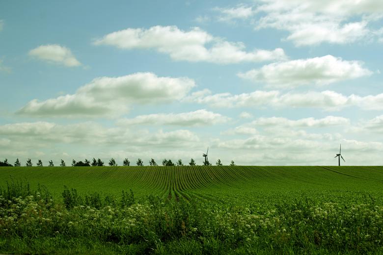 Free stock image of Green field created by Bjorgvin