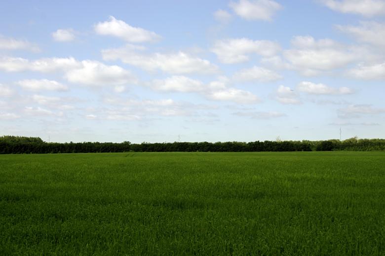 Free stock image of Green field created by Bjorgvin