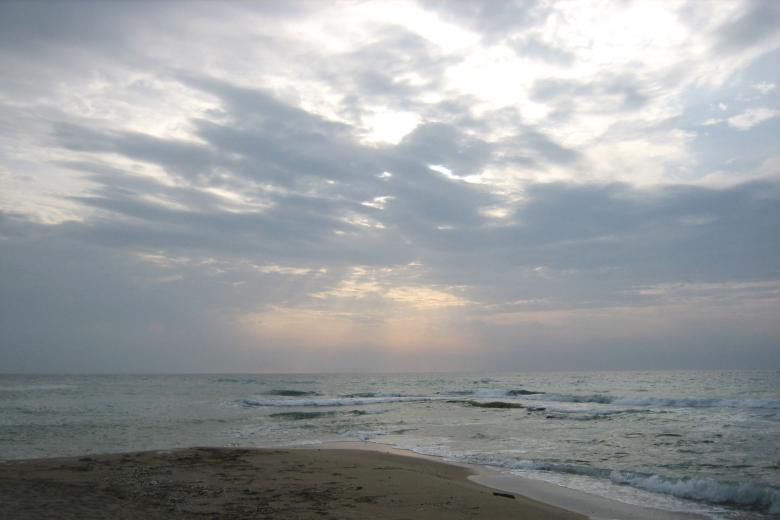 Free stock image of On the beach created by ameer ghanem