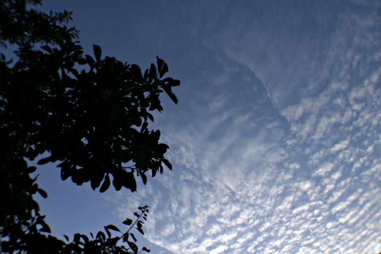 Free stock image of Clouds created by Bjorgvin