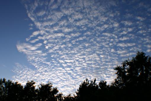 Free Stock Photo of Clouds