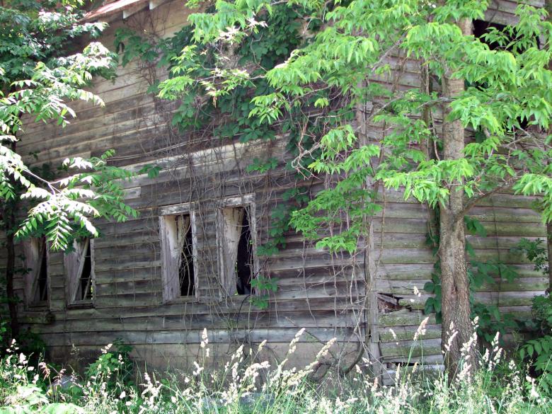 Free stock image of Abandoned wooden shack created by james thomas