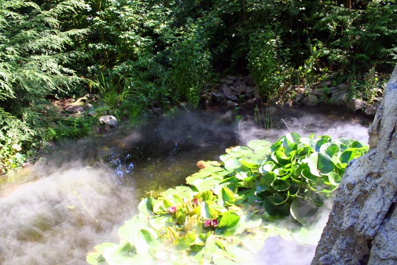 Free stock image of Some water with mist over it created by damien van holten