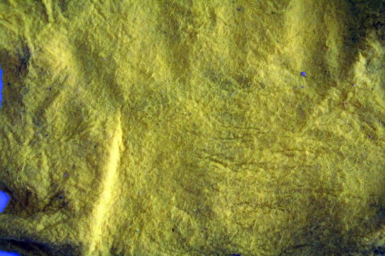Free stock image of Yellow fabric created by damien van holten
