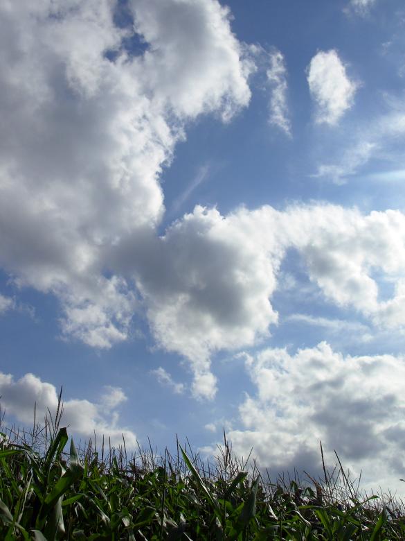 Free stock image of Cloudy sky created by jayne shives