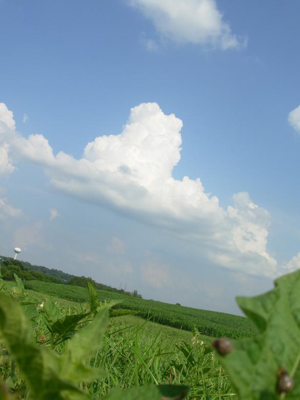Free stock image of Summer landscape created by jayne shives