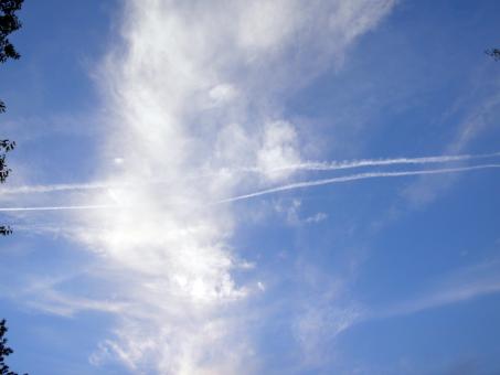 Sunny sky