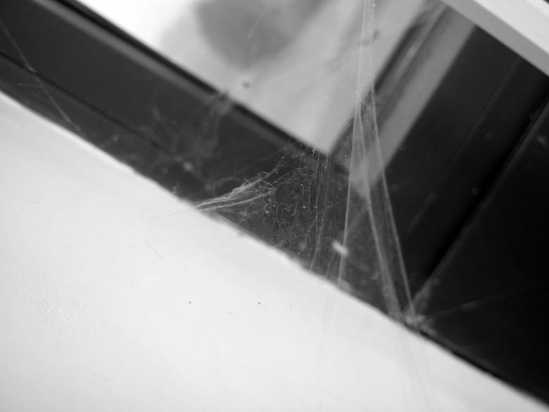Free stock image of Spiderweb created by jayne shives