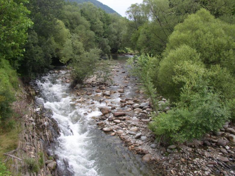 Free stock image of Ribarica created by maria b_r
