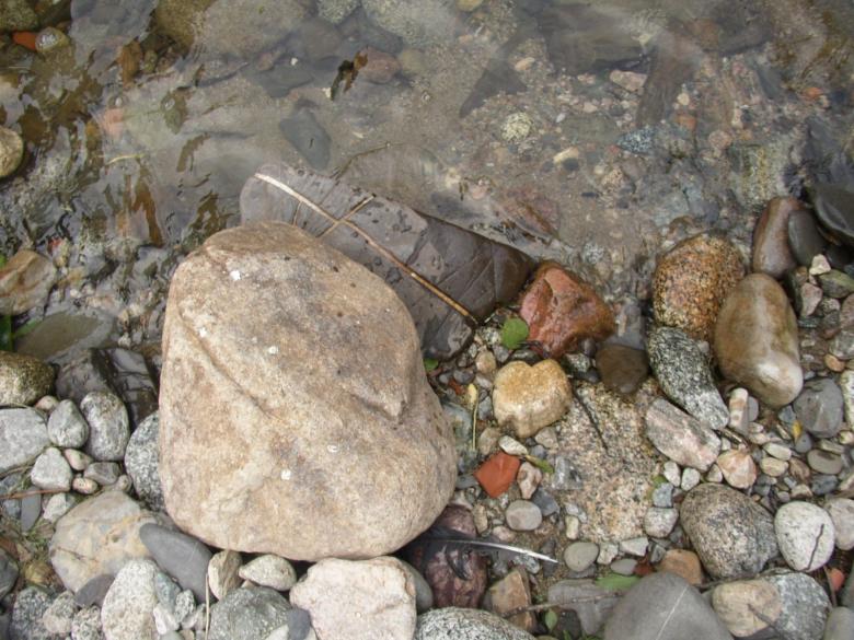 Free stock image of Rocks in Nature created by maria b_r