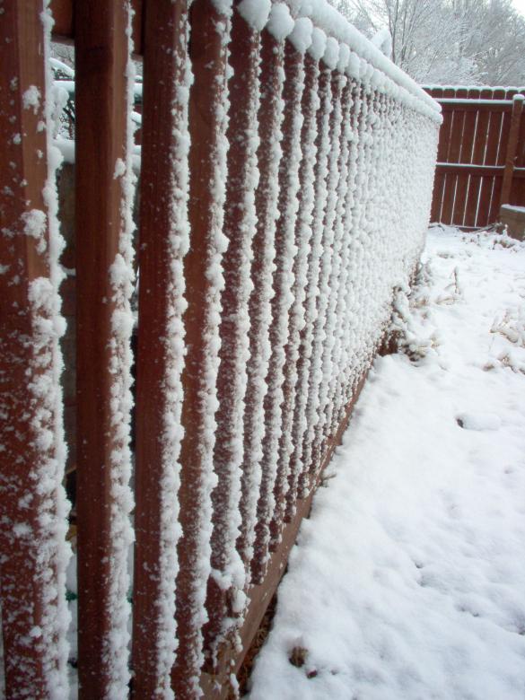 Free stock image of Snow Day created by james meinhardt