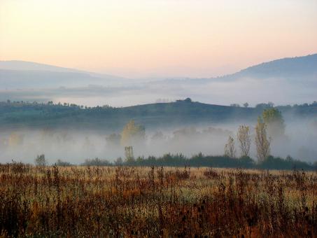 Autumn - Free Stock Photo