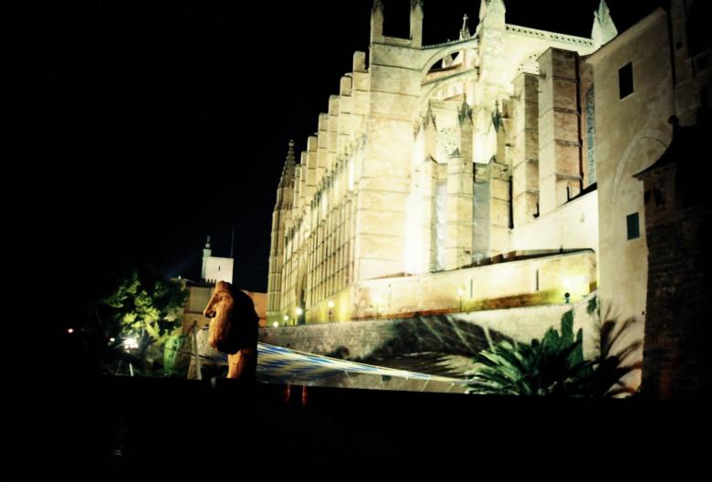 Free stock image of Palma created by georgi radev