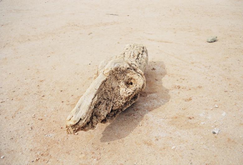 Free stock image of wood created by georgi radev