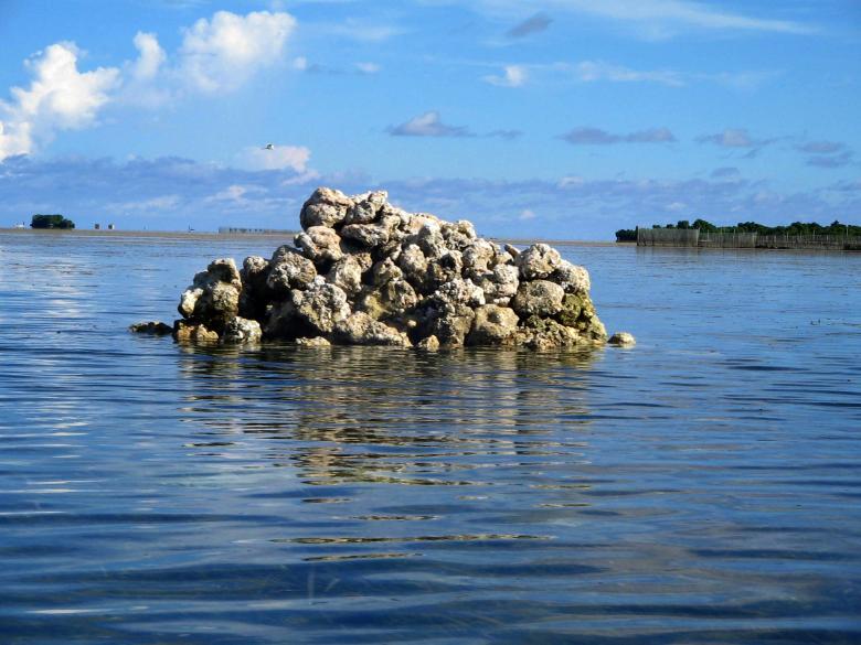 Free stock image of Sea rocks created by requel legaspino