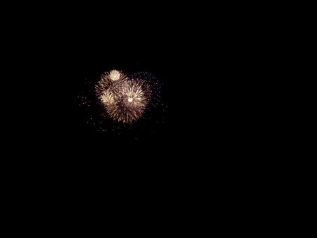 China firework @ english bay - Free Stock Photo