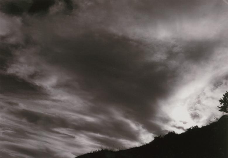 Free stock image of Bernal Hill Morning created by amanda voss