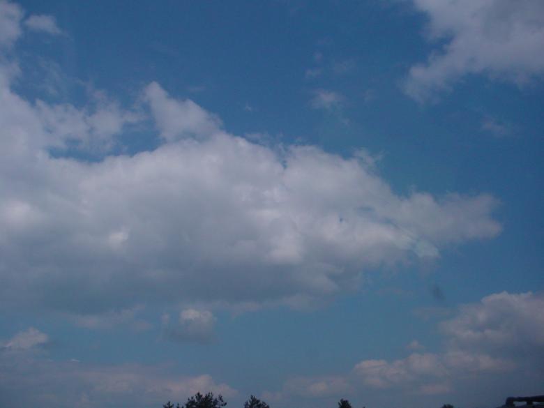 Free stock image of Dolphin Cloud created by nikole preston