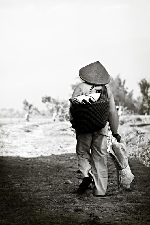 Free stock image of Field Worker created by monika j. suryadi