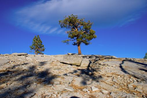 Free Stock Photo of Nearing Top of Dome Rock in Needles