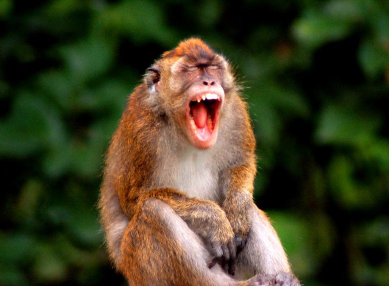 Free stock image of Sleepy created by requel legaspino