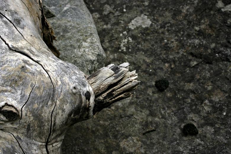 Free stock image of Wood and rock created by Bjorgvin