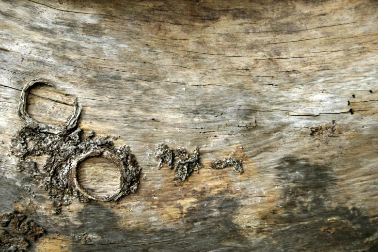 Free stock image of Wood texture created by Bjorgvin