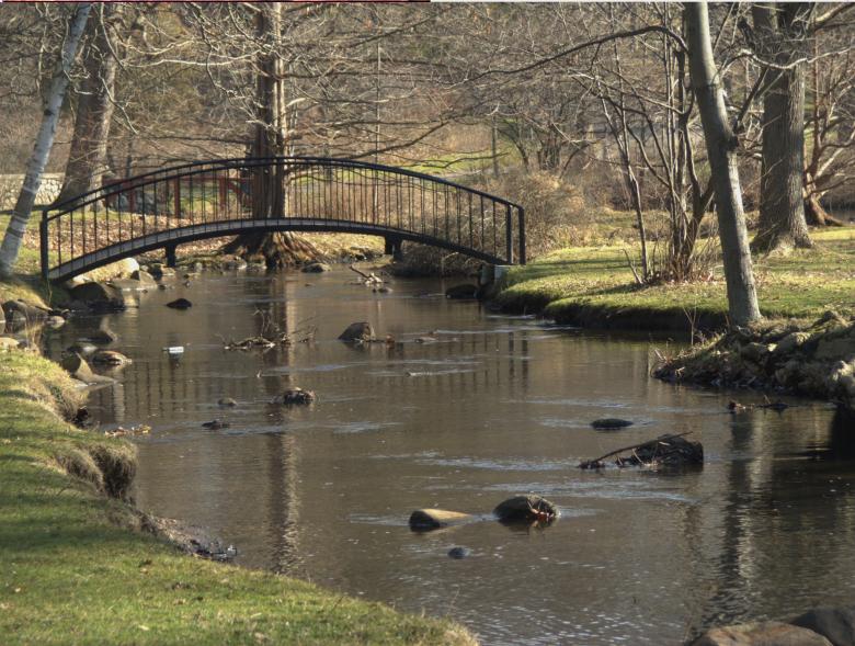 Free stock image of Bridge over shallow creek created by Heather Elaine Kitchen