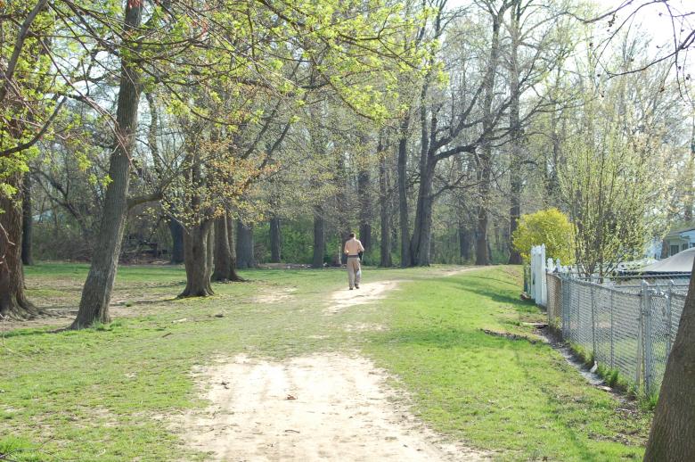Free stock image of forest pathway created by Mark Manalaysay