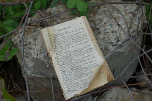 Abandoned Book - Free Stock Photo