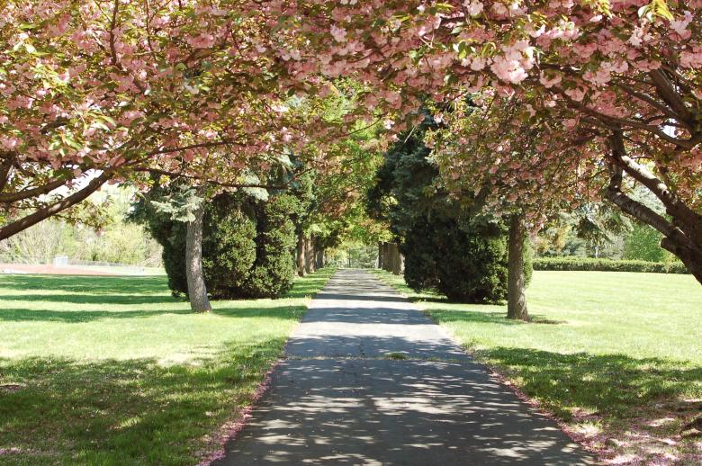 Free stock image of In the park created by Mark Manalaysay