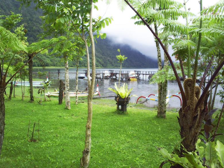 Free stock image of Nature created by Didi Supardi