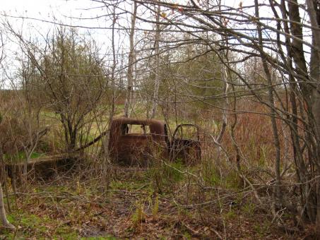 Car wreck in the woods - Free Stock Photo