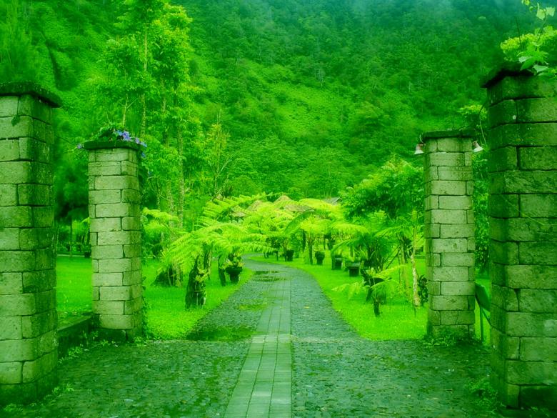 Free stock image of Green path created by Didi Supardi