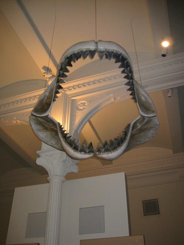 Free stock image of giant dinosaur jaw created by Tim Girard