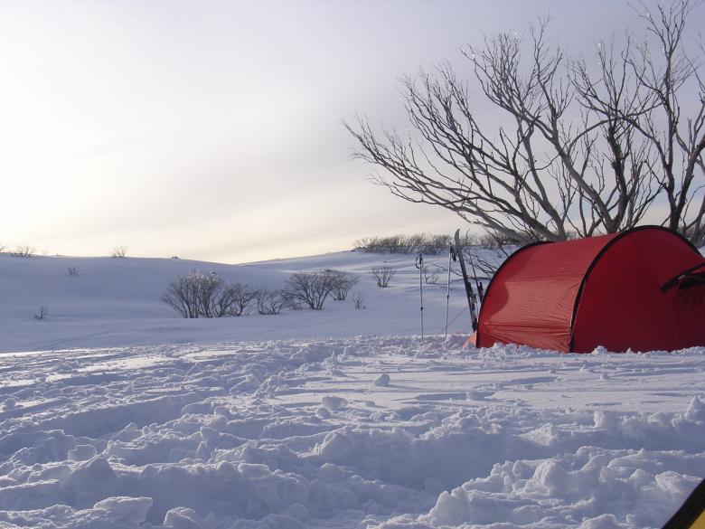 Free stock image of Early morning from my tent created by Alec Stewart