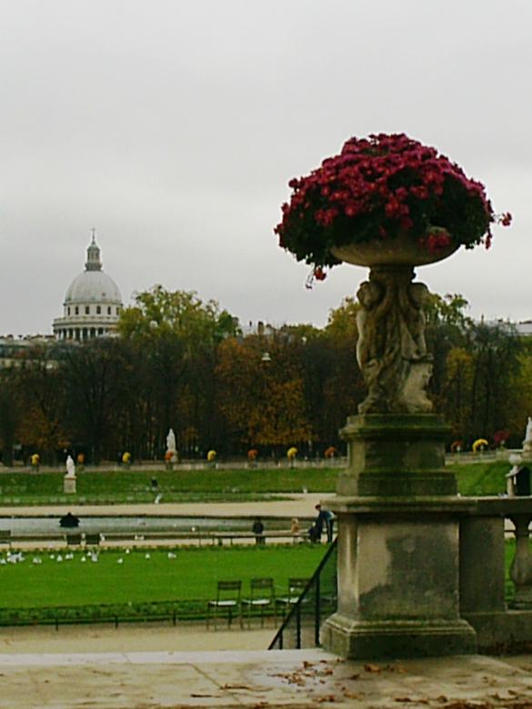 Free stock image of Jardin de luxembourg in Paris created by Maria Kuroshchepova