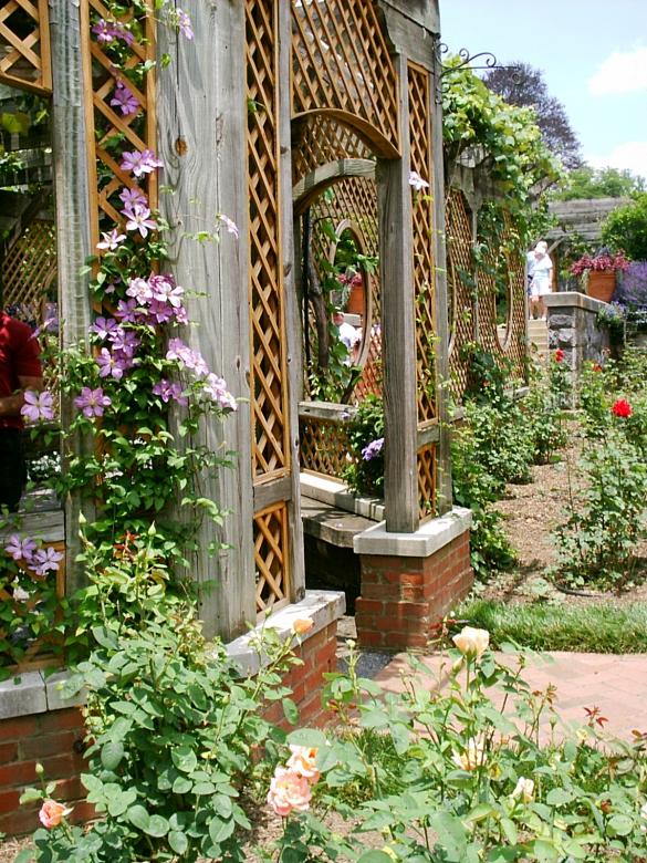 Free stock image of Flower gardens created by Maria Kuroshchepova