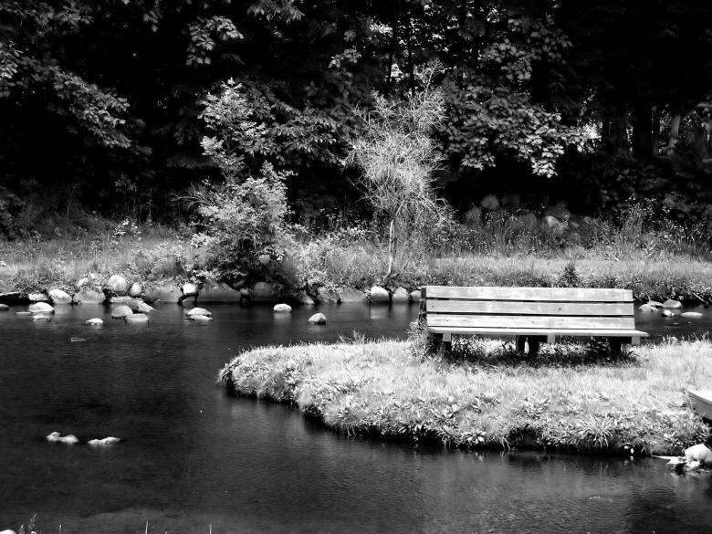 Free stock image of Empty Park Bench created by Heather Elaine Kitchen